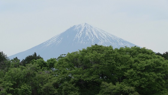 富士山(1)