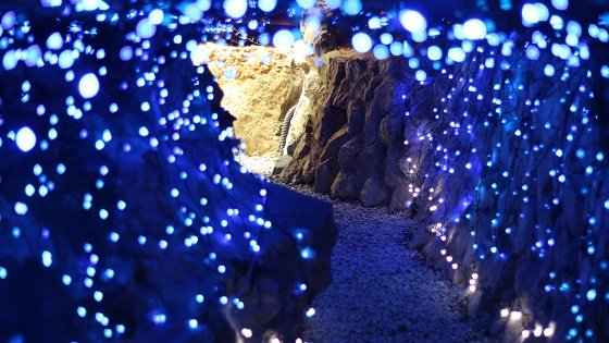 洞窟内ライトアップ(1)