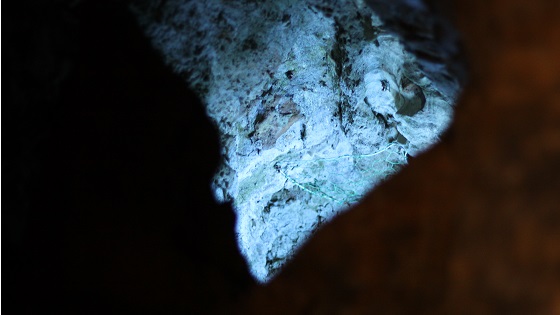 洞窟内の岩をライトアップ