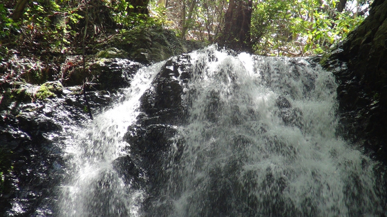 松葉の滝画像1