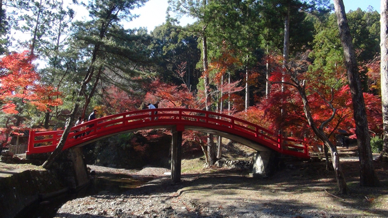 赤い橋1